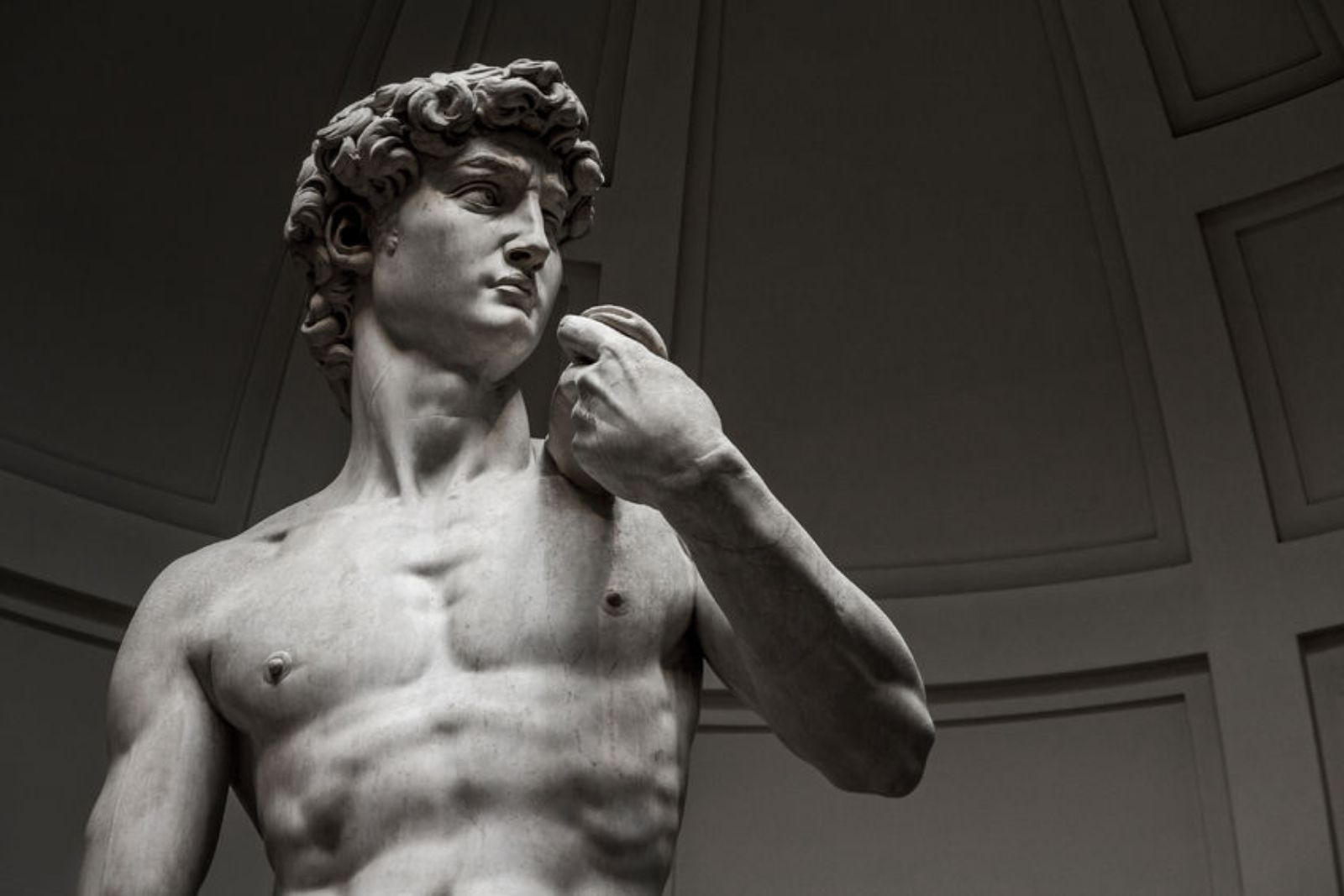 Close view of the head and chest of Michelangelo's marble statue of David, gazing to one side